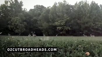 Ozcut Broadheads TV Spot, 'Repetition' - Thumbnail 9