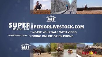 Superior Livestock Auction TV Spot, 'Nationwide Database: Unique Bidding Platform' - Thumbnail 5