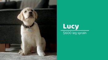 Physicians Mutual Pet TV Spot, 'Lucy and Eddie' - Thumbnail 1