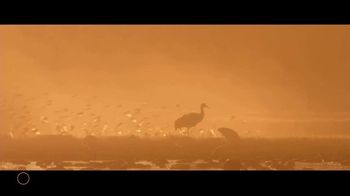 New Mexico State Tourism TV Spot, 'Bosque Del Apache' - Thumbnail 1
