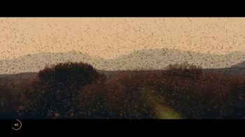 New Mexico State Tourism TV Spot, 'Bosque Del Apache' - Thumbnail 7