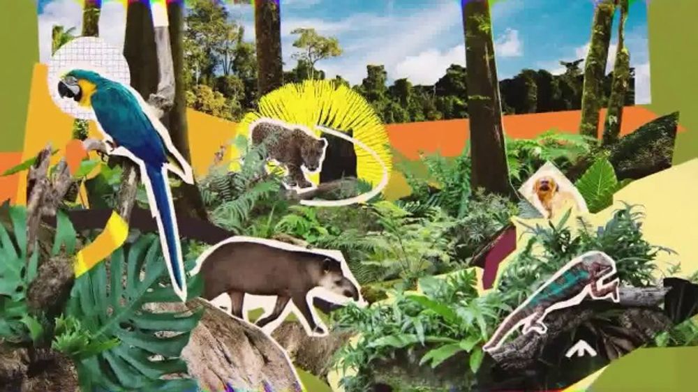 Food Waste thumbnail