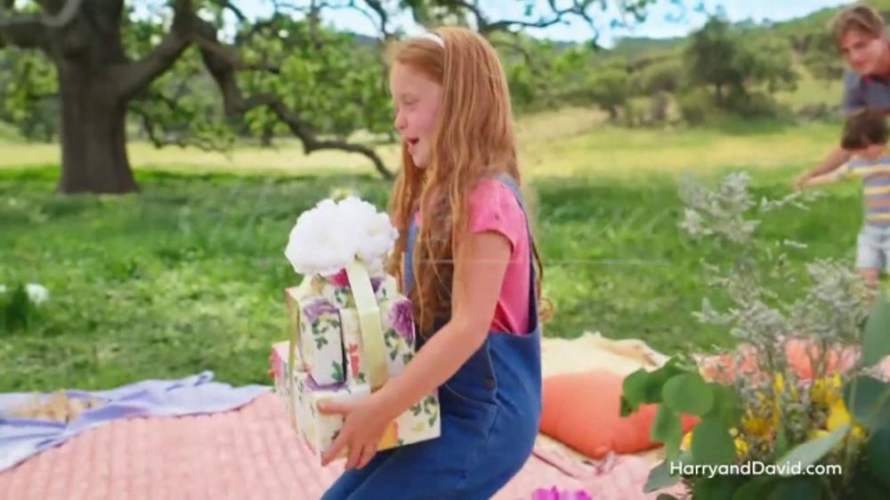 Harry & David TV Spot, 'Mother's Day: The Picnic'