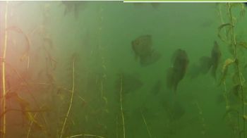 Outdoor America TV Spot, 'Spring Sale: 35% Off Fishing Gear'