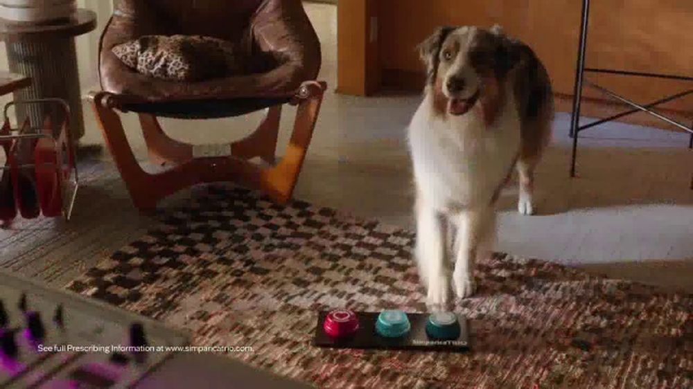 Doggy DJ Thumbnail