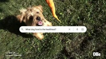 Ollie Pets, Inc TV Spot, 'Many Questions: 50% off Your First Box' - Thumbnail 3