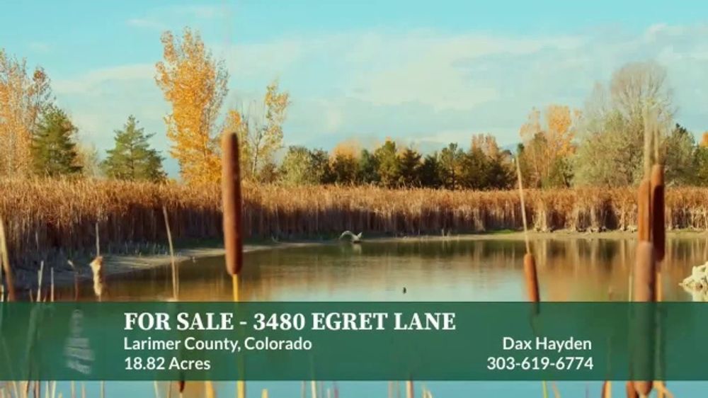 Egret Lane Thumbnail