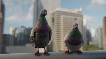 DIRECTV TV Spot, 'For the Birds: Genre Pecks' - Thumbnail 4