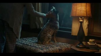 The Farmer's Dog TV Spot, 'Delivery Day: 50% Off' Song by Marion Black - Thumbnail 2