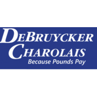 Thumbnail for DeBruycker Charolais
