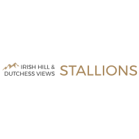 Thumbnail for Irish Hill & Dutchess Views Stallions