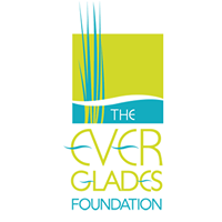 Thumbnail for The Everglades Foundation