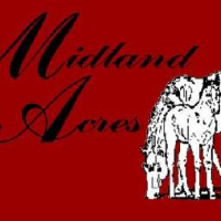 Thumbnail for Midland Acres