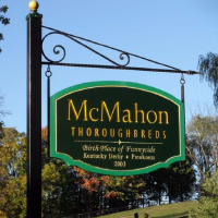 Thumbnail for McMahon of Saratoga Thoroughbreds