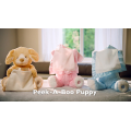 Thumbnail for Peek-A-Boo Puppy