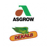 Thumbnail for Dekalb